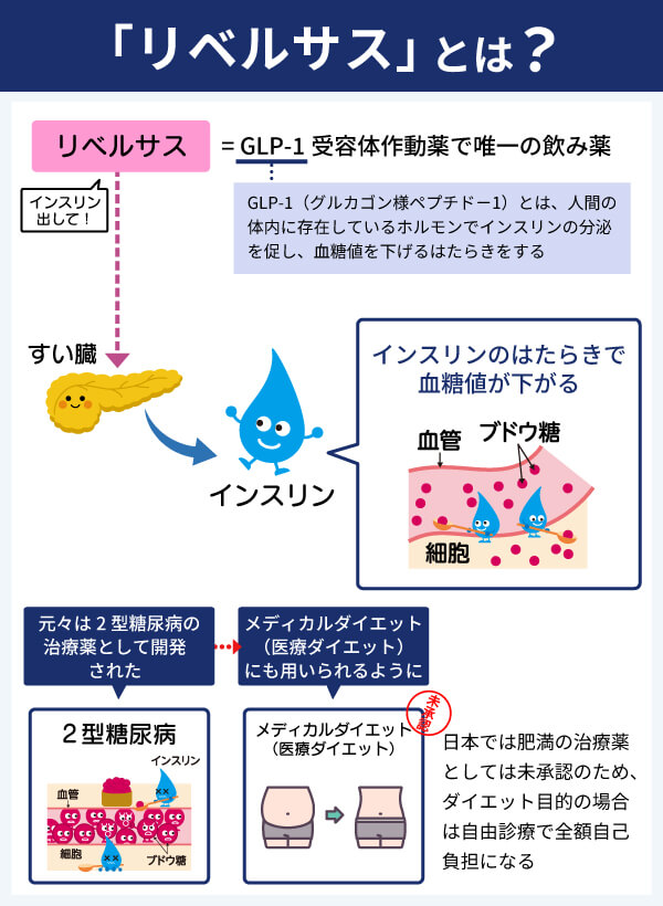 リベルサスとはどんな薬？ダイエット目的の服用で得られる効果や仕組み