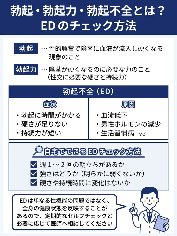 勃起・勃起力・勃起不全とは？EDのチェック方法