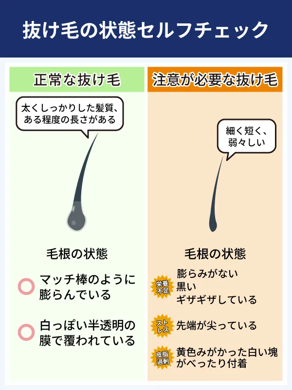 本数以上に重要な抜け毛の状態セルフチェック
