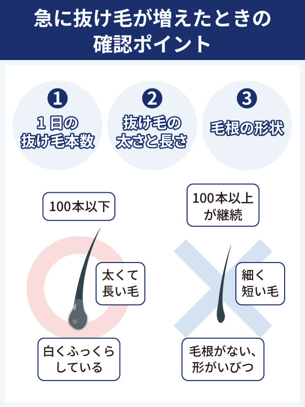 急に抜け毛が増えたときの確認ポイント