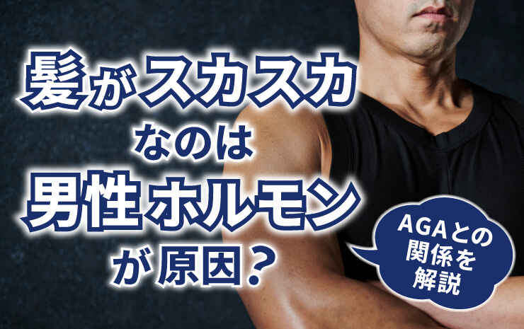 髪がスカスカなのは男性ホルモンが原因？AGAとの関係を解説