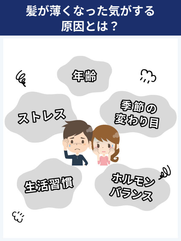 髪が薄くなった気がする原因とは？